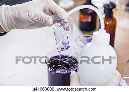 Staining microscope slide View Large Photo Image Stock Photograph - Staining microscope slide. Fotosearch
