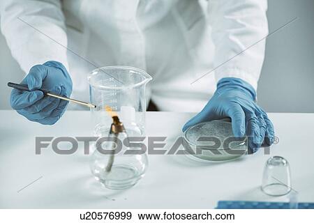 Stock Photo - Sterilizing inoculation loop. Fotosearch