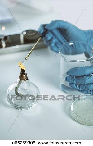 Stock Photography - Sterilizing inoculation loop. Fotosearch