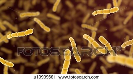 Stock Image - Streptococcus pneumoniae bacteria, illustration. Fotosearch