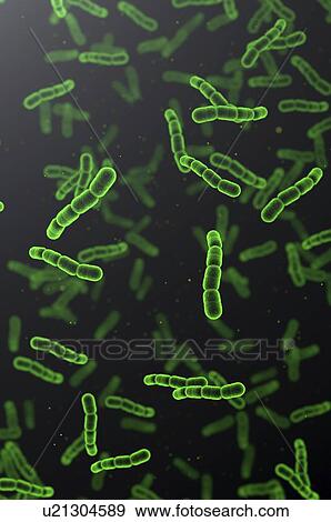 Stock Photo - Streptococcus pneumoniae bacteria, illustration. Fotosearch