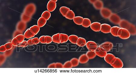 Stock Photograph - Streptococcus thermophilus bacteria, illustration. Fotosearch
