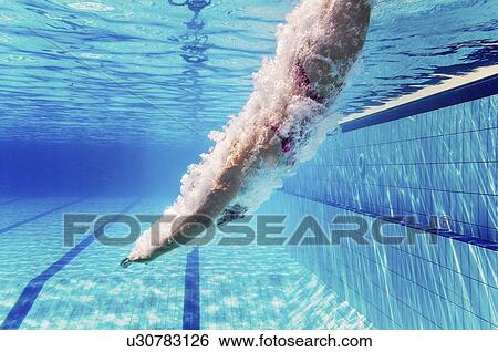 Swimmer diving into pool View Large Photo Image Stock Photograph - Swimmer diving into pool. Fotosearch