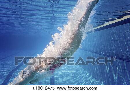 Swimmer diving into pool View Large Photo Image Stock Photography - Swimmer diving into pool. Fotosearch