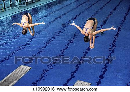 Synchronised diving View Large Photo Image Stock Photograph - Synchronised diving. Fotosearch