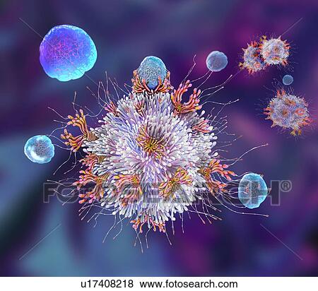 Stock Photo - T cell binding antigen, illustration. Fotosearch