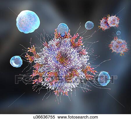 T cell binding antigen, illustration View Large Photo Image Stock Photography - T cell binding antigen, illustration. Fotosearch