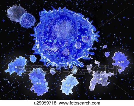 Stock Photo - T helper cell and interleukin molecules, illustration. Fotosearch