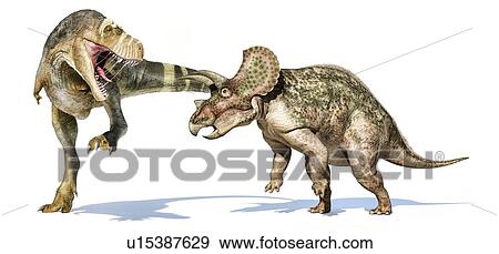 T-rex dinosaur attacking a triceratops, illustration View Large Photo Image Stock Photo - T-rex dinosaur attacking a triceratops, illustration. Fotosearch