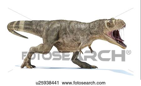 Stock Image - T-rex dinosaur, illustration. Fotosearch