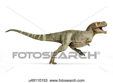 Stock Image - T-rex dinosaur, illustration. Fotosearch