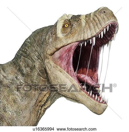 Picture - T-rex head, illustration. Fotosearch
