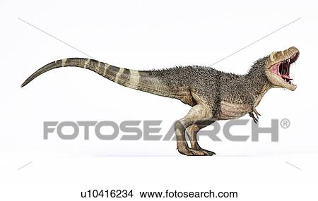 T-rex with feathers, illustration View Large Photo Image Picture - T-rex with feathers, illustration. Fotosearch