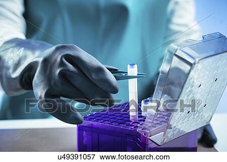 Stock Photo - Technician preparing biological sample for deep freezing. Fotosearch