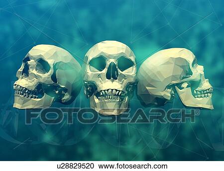 Three human skulls, low poly illustration. View Large Photo Image Stock Image - Three human skulls, low poly illustration.. Fotosearch