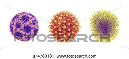 Stock Image - Three pathogenic viruses, illustration. Fotosearch