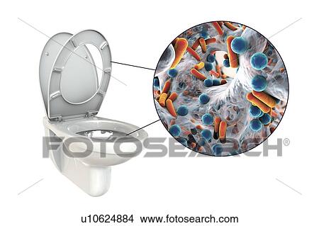 Picture - Toilet microbes, conceptual illustration. Fotosearch