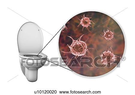 Stock Image - Toilet microbes, conceptual illustration. Fotosearch