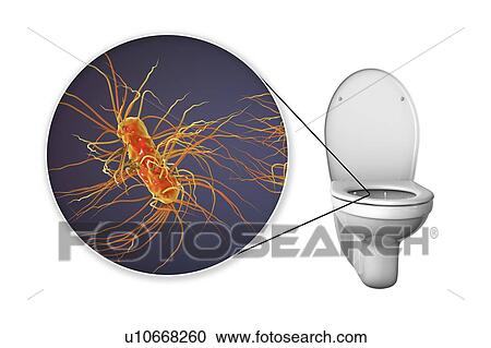 Stock Image - Toilet microbes, conceptual illustration. Fotosearch