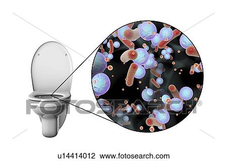 Toilet microbes, conceptual illustration View Large Photo Image Stock Image - Toilet microbes, conceptual illustration. Fotosearch