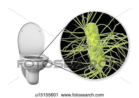 Stock Image - Toilet microbes, conceptual illustration. Fotosearch