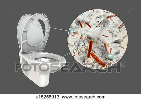 Stock Image - Toilet microbes, conceptual illustration. Fotosearch