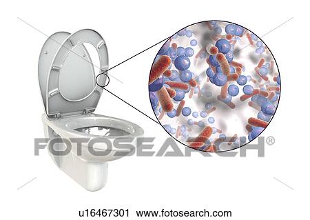 Stock Image - Toilet microbes, conceptual illustration. Fotosearch