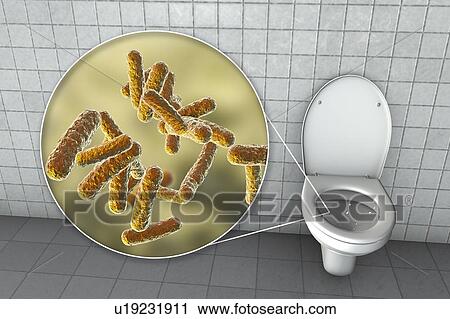 Stock Image - Toilet microbes, conceptual illustration. Fotosearch