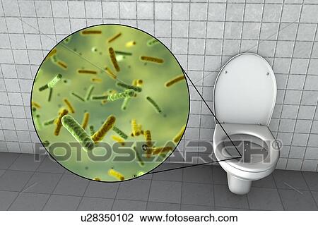Stock Image - Toilet microbes, conceptual illustration. Fotosearch