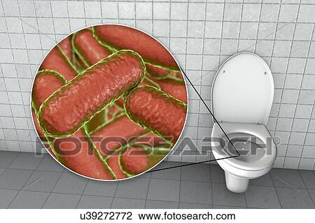 Stock Image - Toilet microbes, conceptual illustration. Fotosearch