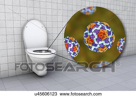 Stock Image - Toilet microbes, conceptual illustration. Fotosearch