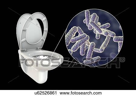 Stock Image - Toilet microbes, conceptual illustration. Fotosearch