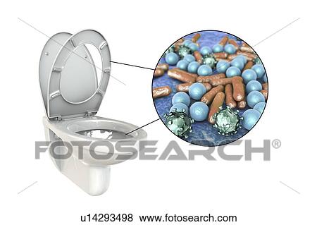 Stock Photo - Toilet microbes, conceptual illustration. Fotosearch