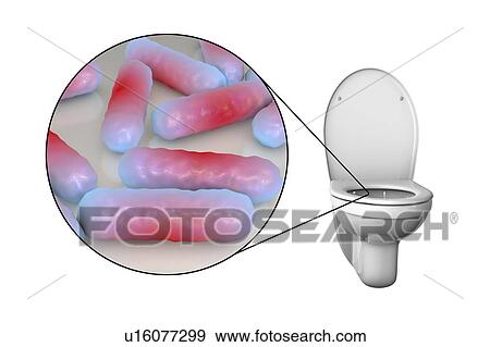 Toilet microbes, conceptual illustration View Large Photo Image Stock Photo - Toilet microbes, conceptual illustration. Fotosearch