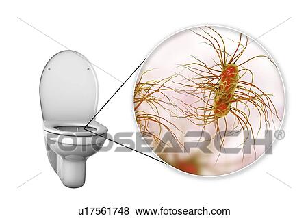 Stock Photo - Toilet microbes, conceptual illustration. Fotosearch