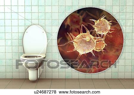 Stock Photo - Toilet microbes, conceptual illustration. Fotosearch