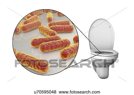Toilet microbes, conceptual illustration View Large Photo Image Stock Photo - Toilet microbes, conceptual illustration. Fotosearch