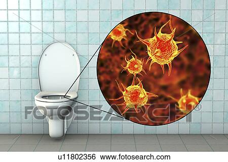 Toilet microbes, conceptual illustration View Large Photo Image Stock Photograph - Toilet microbes, conceptual illustration. Fotosearch