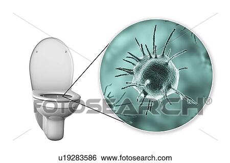 Stock Photograph - Toilet microbes, conceptual illustration. Fotosearch