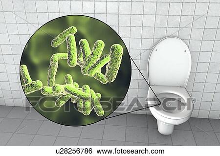 Stock Photograph - Toilet microbes, conceptual illustration. Fotosearch