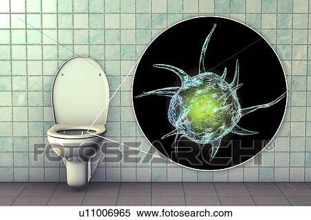 Stock Photography - Toilet microbes, conceptual illustration. Fotosearch