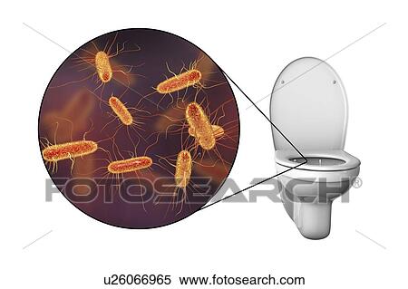 Stock Photography - Toilet microbes, conceptual illustration. Fotosearch