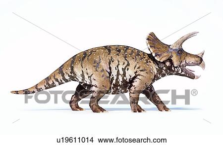 Picture - Triceratops dinosaur, illustration. Fotosearch