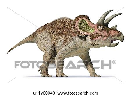 Triceratops dinosaur, illustration View Large Photo Image Stock Image - Triceratops dinosaur, illustration. Fotosearch