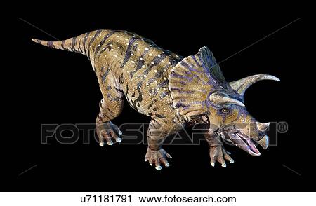 Stock Image - Triceratops dinosaur, illustration. Fotosearch