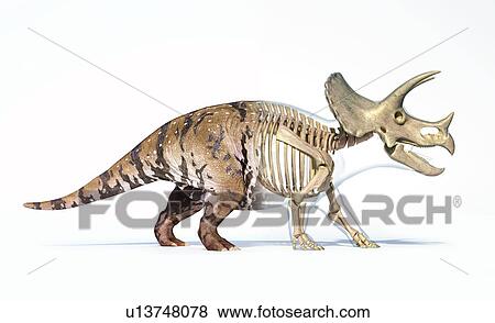Triceratops dinosaur, illustration View Large Photo Image Stock Photo - Triceratops dinosaur, illustration. Fotosearch