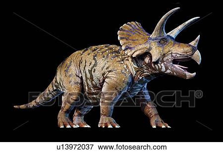 Triceratops dinosaur, illustration View Large Photo Image Stock Photo - Triceratops dinosaur, illustration. Fotosearch