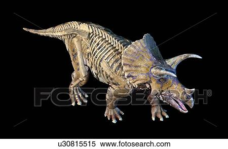 Stock Photography - Triceratops dinosaur, illustration. Fotosearch