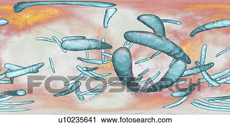 Stock Image - Tuberculosis bacteria, illustration. Fotosearch