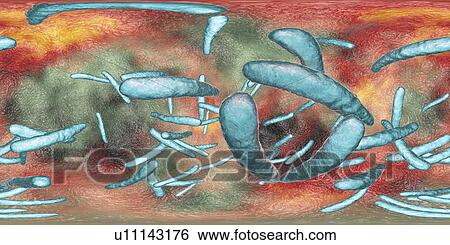 Stock Photograph - Tuberculosis bacteria, illustration. Fotosearch
